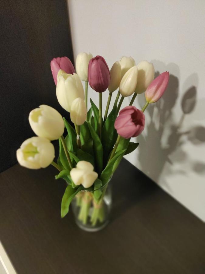 Casa Vacanze Zia Rose Neapol Exteriér fotografie